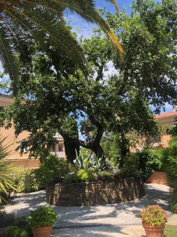 Belle Residence Au Centre De Saint Tropez Avec Piscine Et Garage Экстерьер фото
